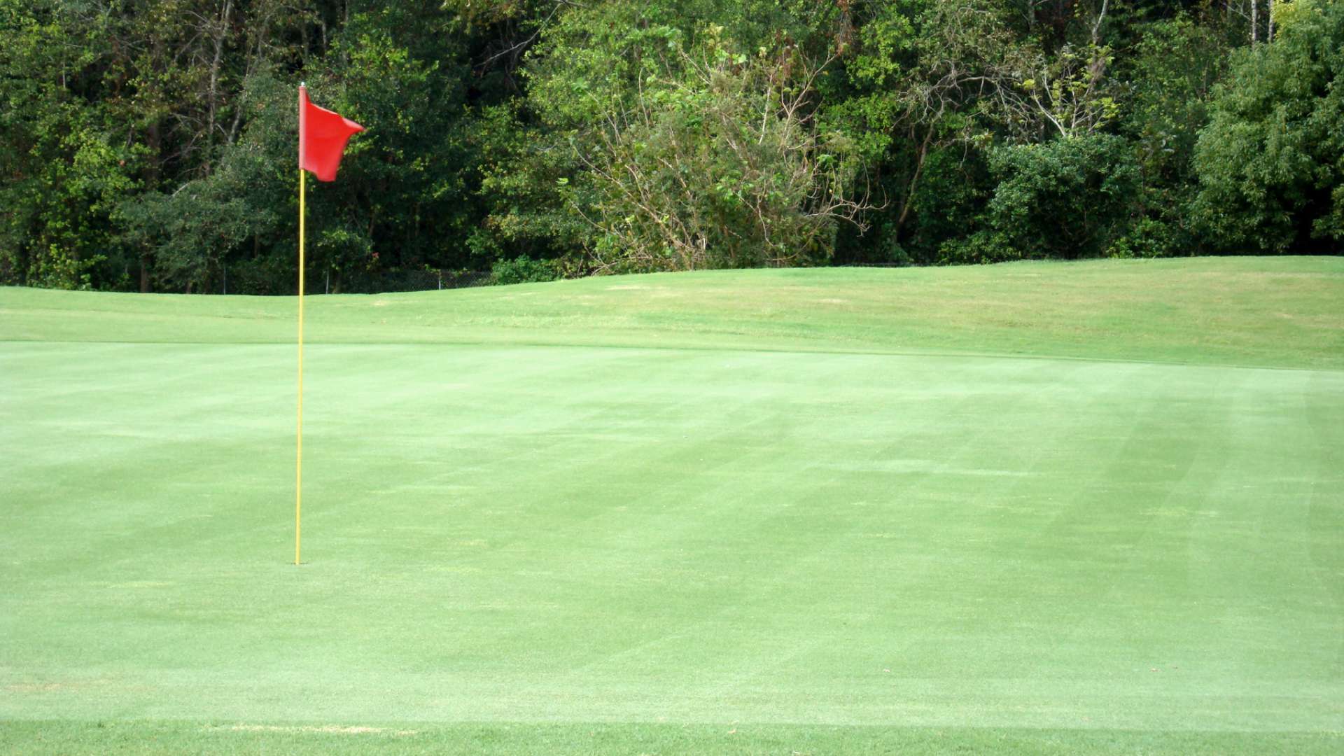 What is a Stimp Meter? Determine the speed of the Greens